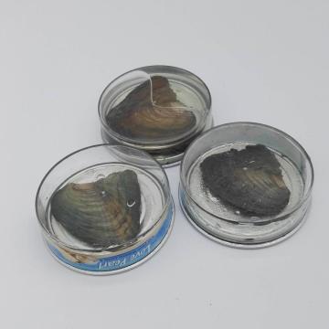 Wholesale Canned Genuine Oyster Shell Pearl In Can