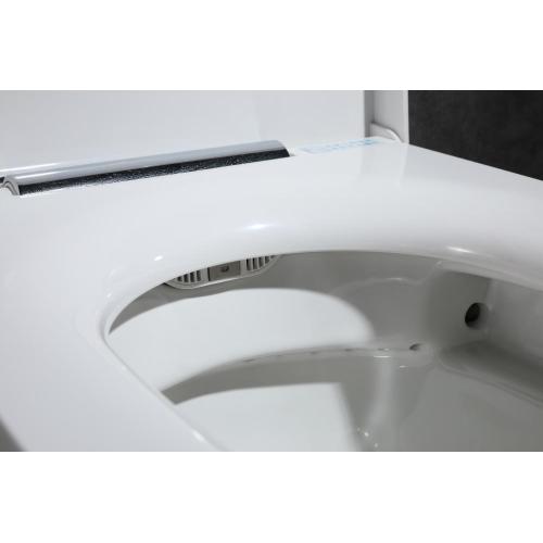 Floor mounted new style electronic intelligent toilet