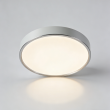 Slim frame ceiling light LED