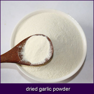 dried garlic powder