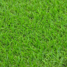 artificial grass carpet for garden landscaping decoration synthetic grass artificial grass prices artificial grass for roofing