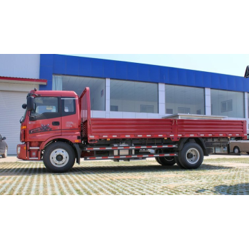 BRAND NEW FOTON CARGO TRUCK HAND DRIVE TANGAN