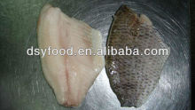 supply Frozen Tilapia Fish Fillet price