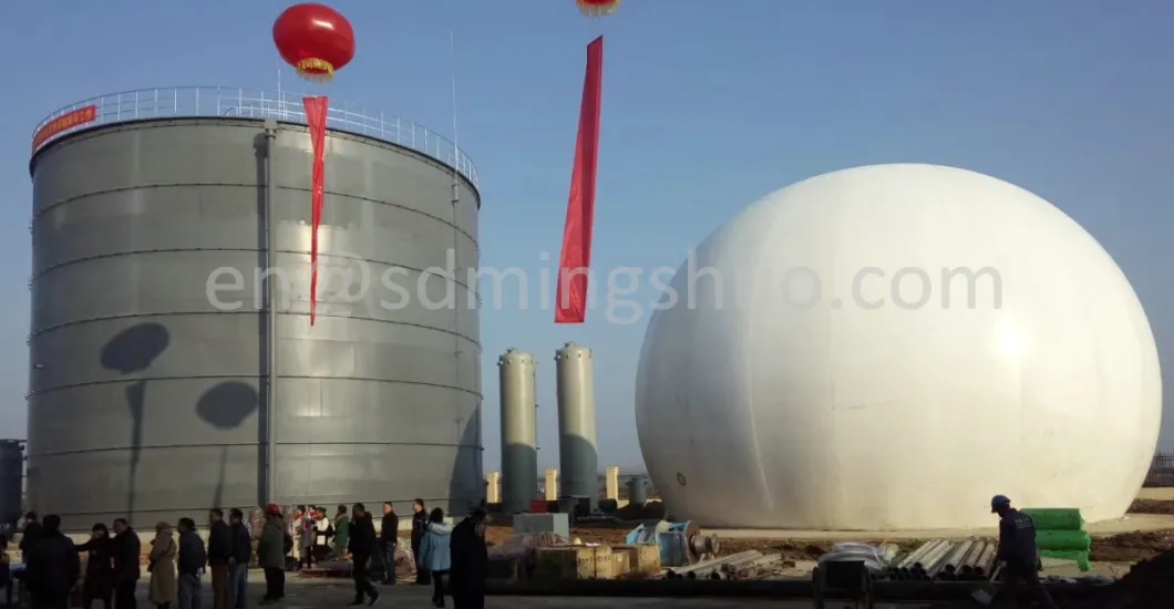 Membrane Biogas Storage Gas Dome Holder for Anaerobic Digestion