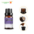 Ventas calientes Lavender Pure Essential Oil Bulk para aromaterapia