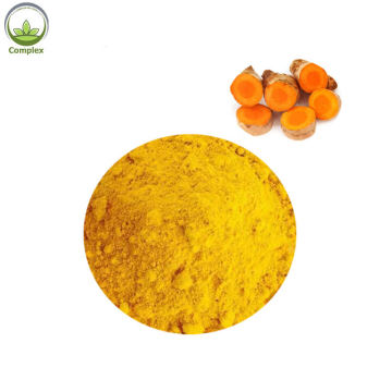 Curcuma Longa Extract Turmeric Extract Powder 95%