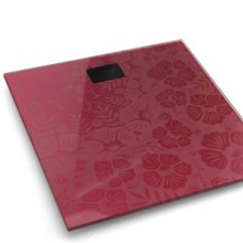 Electronic Balance Scale TS-2012C