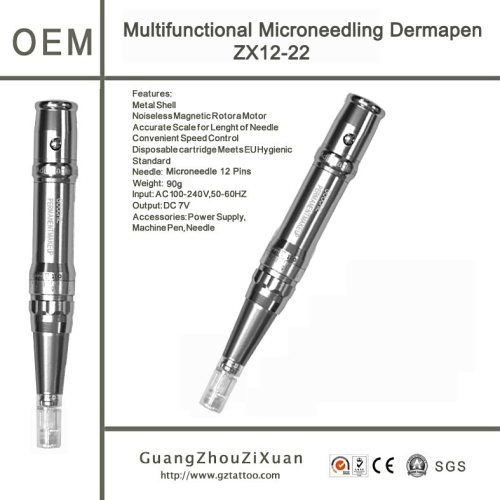 Goochie Micorneedling Derma Meso Pen for Mesotherapy