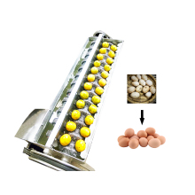 Automatic Hen/Duck Egg Cleaner Equipment - Egg Washing Machine for Egg Processing