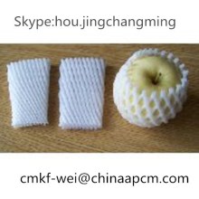 EPE Foam Fruit The size can Customizable