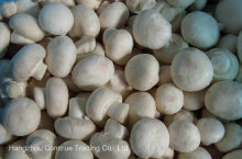 IQF Champignon Mushroom Whole