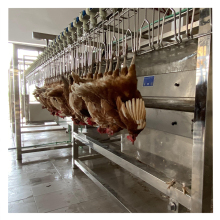 Chicken Processing Plant: Slaughtering Equipment and Poultry Gizzard Peeling Machine