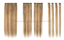 Remy Clips on Hair Extensions