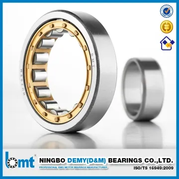 Cylindrical Roller Bearings Nu305e