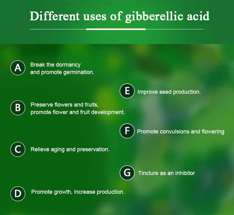 China wholesale plant growth regulator gibberellic acid 90% TC GA3 CAS No. 77-06-5