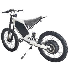 2025 Fast Speed Electric Bicycles: 3000w-8000w Ebikes & Dirt Bikes
