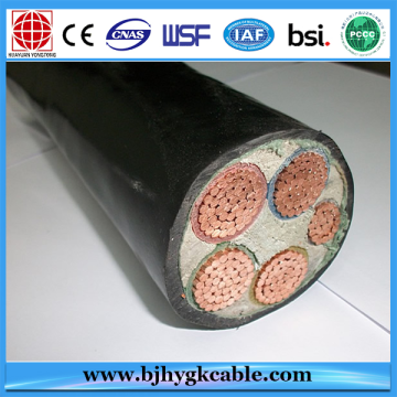 1KV 1X6SQMM Copper Conductor PVC Insulated PVC Sheath Cable