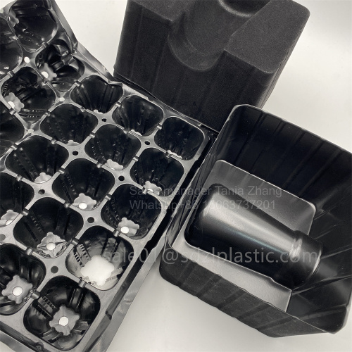 Black PS sheet seedling tray wine tray