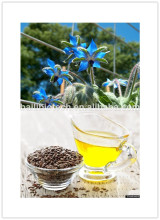 Nutritional Borage Seed Oil GLA 20%