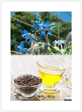 Nutritional Borage Seed Oil GLA 20%