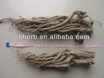 Echinacea root/Echinacea augustifolia