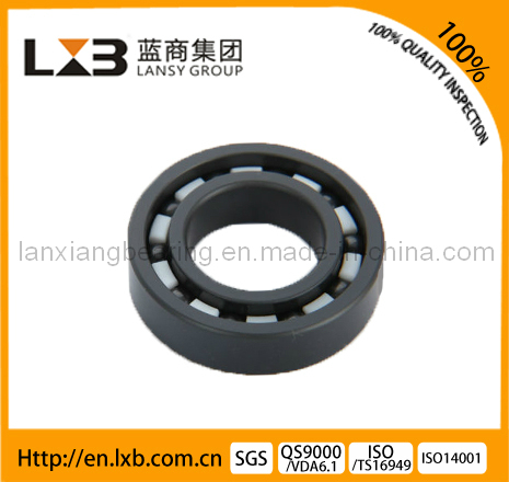 Full Complement Ball Bearing of Si3n4