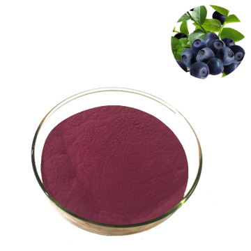 Direct Sales Bilberry Fruit Powder
