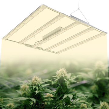 Led Grow Light Grow Tent