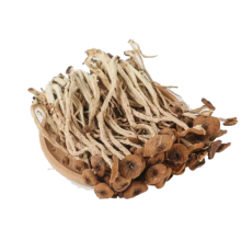 Air-Dried Tea Tree Mushrooms - Natural Edible Dried Shiitake Mushrooms