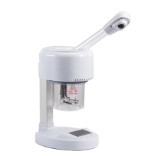 Desktop Ion Vapor Facial Steamer Price