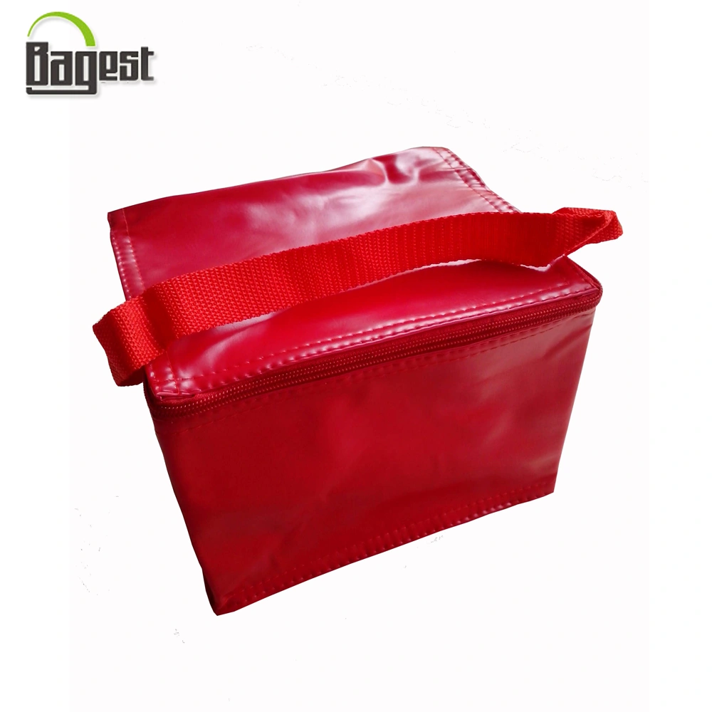 Quality Promotional Outdoor Insulated Picnic Cooler Bag