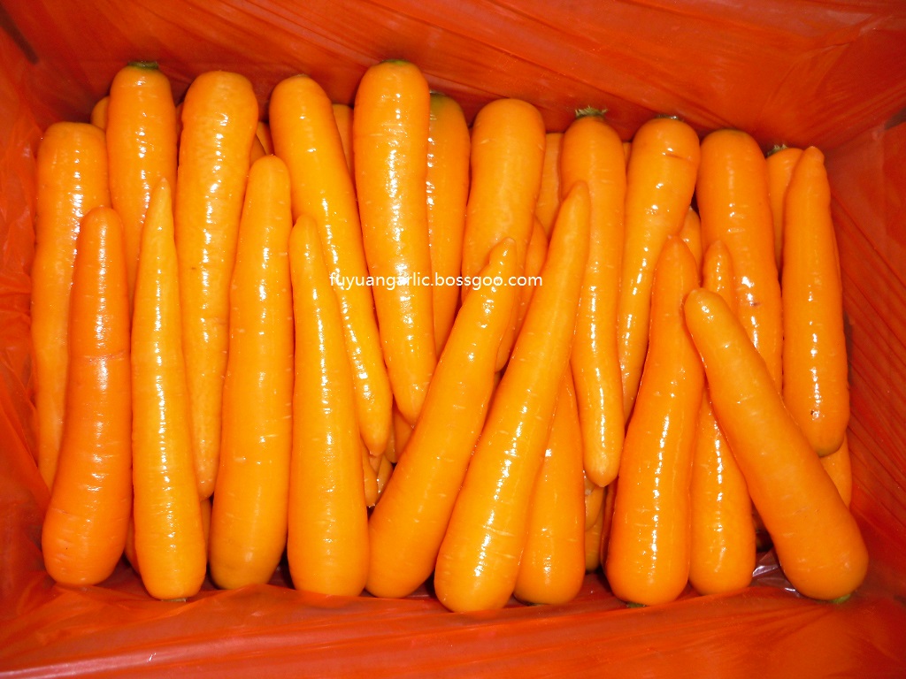 carrot2