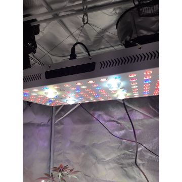 Phlizon 2000W Pflanze LED COB Full Spectrum