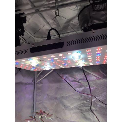 Phlizon 2000W Plant LED Cob Phổ đầy đủ