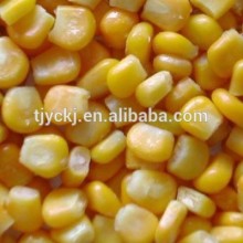 IQF frozen corns with super SWEET taste