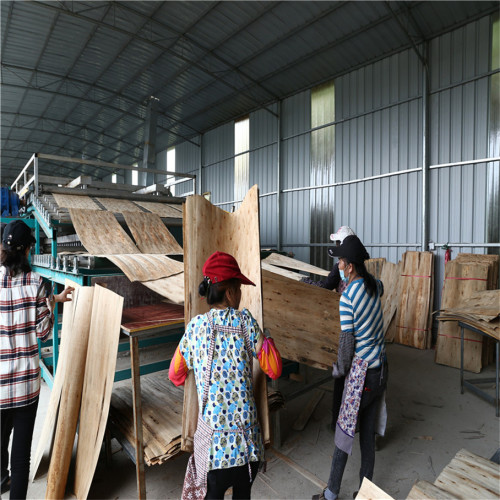 Roller Veneer Drying Machine