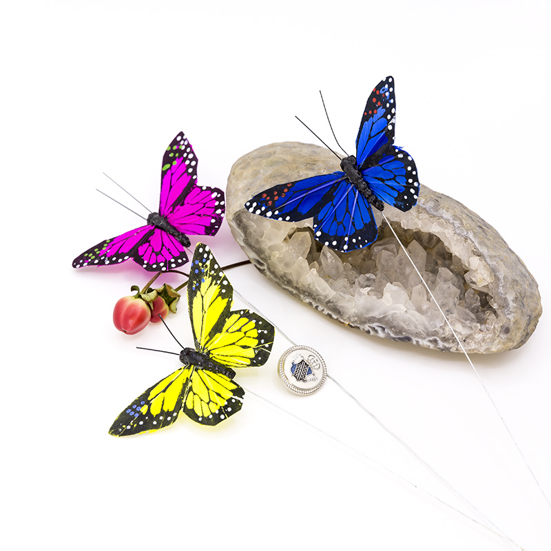 Butterfly classroom decoration