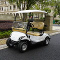 elektrisk golfvagn med 2 baksätplatser