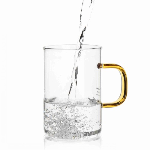 Single Wall Glass Cup With Golden Handle