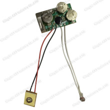 LED Flashing Module LED Flashing Light Flashing Light