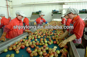 fruit juice processing line