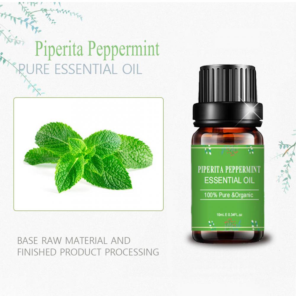 Grosir Piperita Peppermint Minyak Esensial Alami