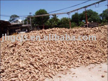 China tapioca starch machine processing plant