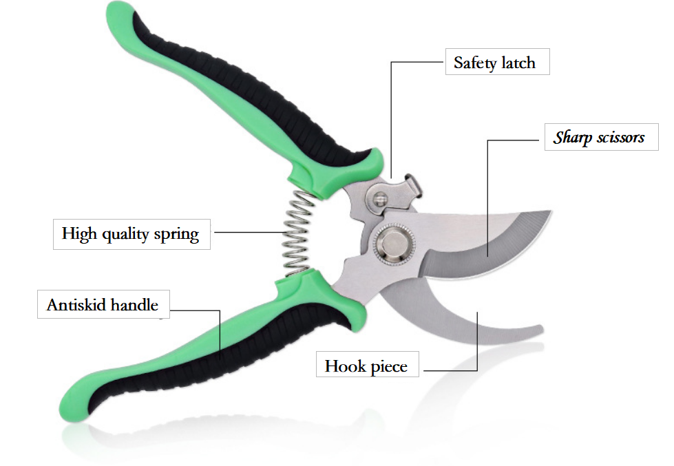 Branch scissors