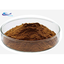 20% Red Sage Salvia Miltiorrhiza Extract Salvianolic acid