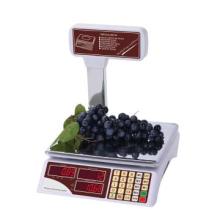 2013  electronic pricing scale