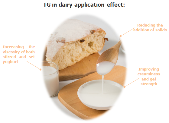 TGase für Milchprodukte TGase for dairy