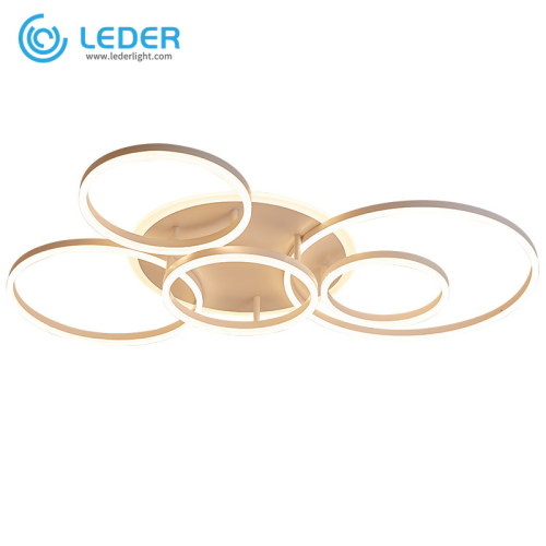 LEDER Led Ceiling Lights