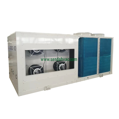 Energy Efficient Rooftop Packaged Inverter Air Conditioner with Ebm Ec Plug Fans