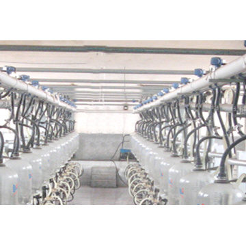 Automatic fishbone milking parlor